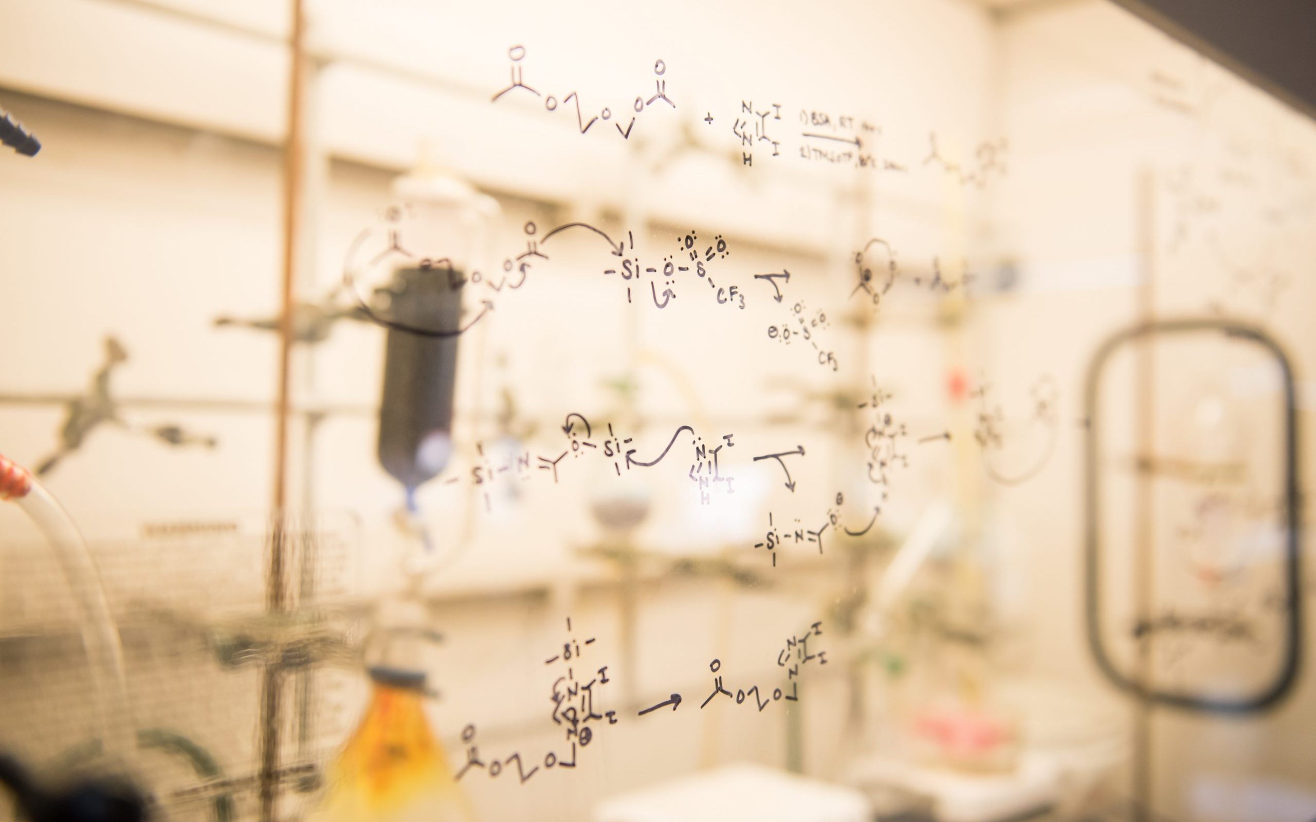 Seley Radtke Biochem 5822 scaled e1585772652500
