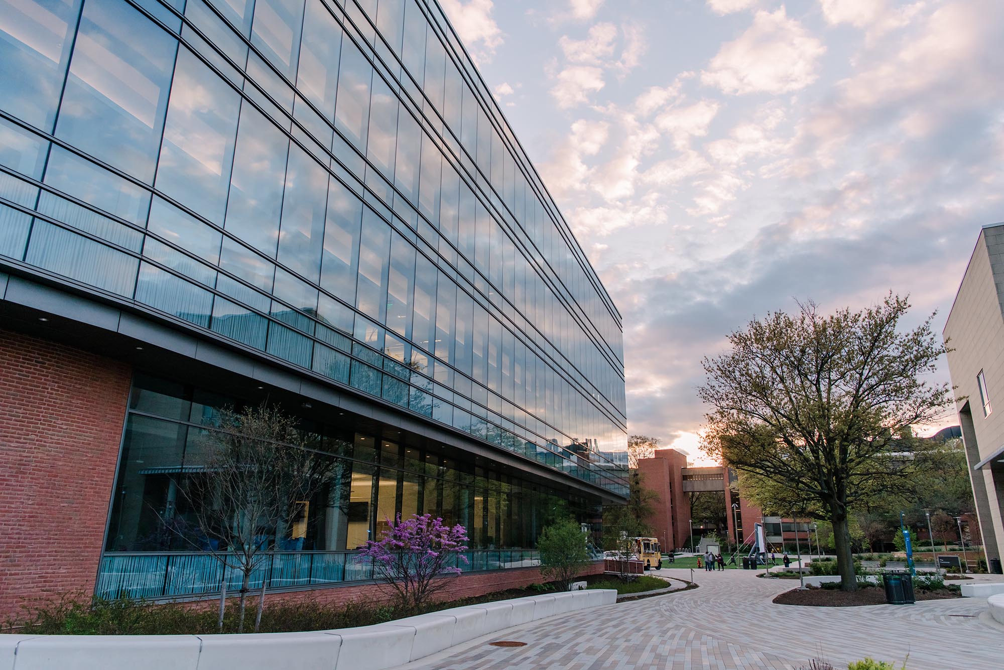 Spring Campus2021 1989